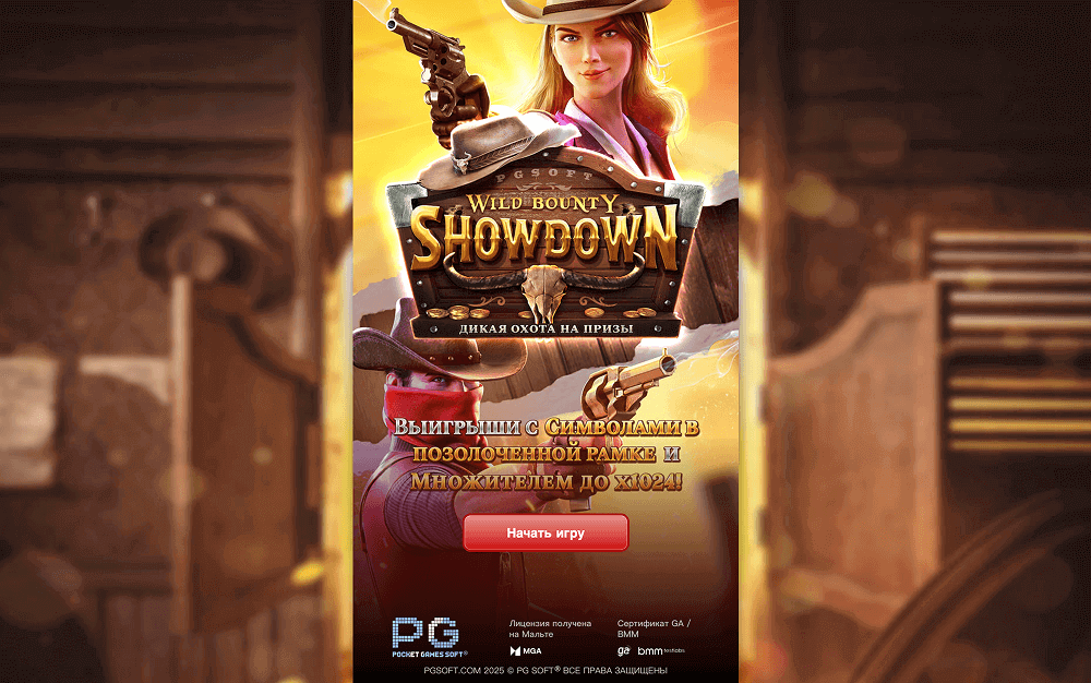Основная информация о слоте Wild Bounty Showdown